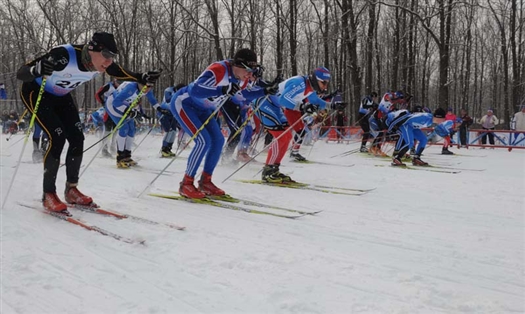 В стартах приняли участие около 270 любителей лыжного спорта