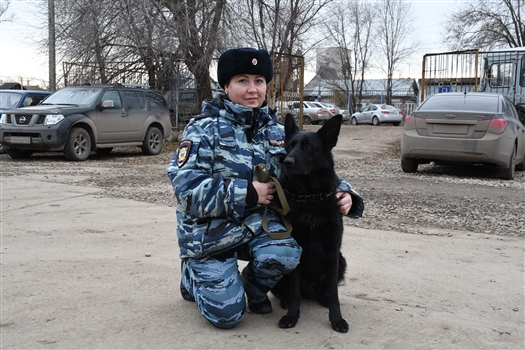 Ума Турман (собака) в Самарской области борется с преступностью