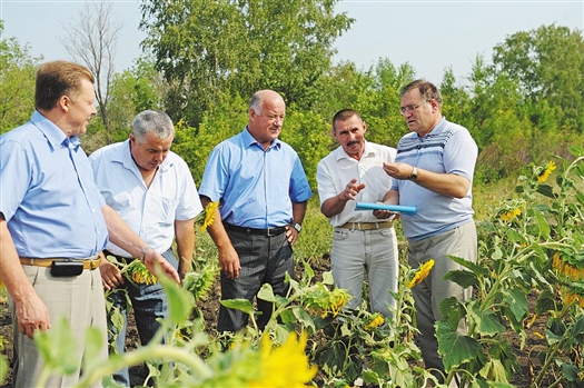 Депутаты убедились, что в Кинель-Черкассах, несмотря на жару, продолжают бороться за урожай