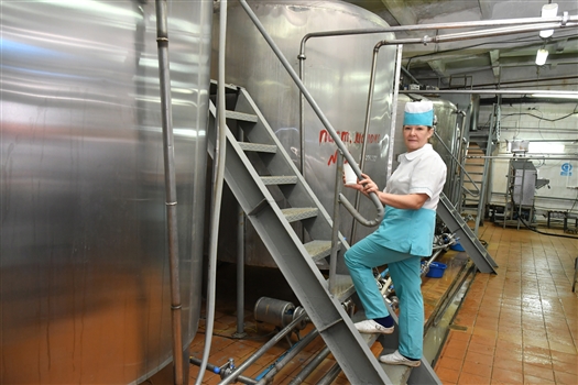 В Тольятти может появиться завод по производству сыра