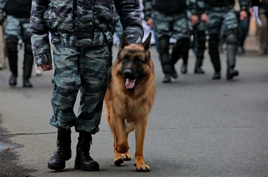 Волга термо новокуйбышевск
