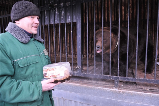 Медведю Умке из Самарского зоопарка на 16-летие подарили торт