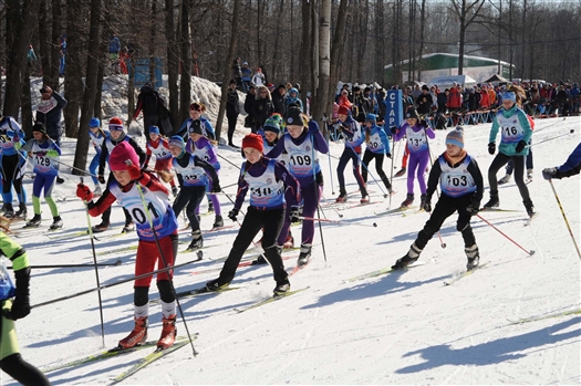 В Самаре прошли областные соревнования по лыжным гонкам на призы газеты "Волжская Коммуна"