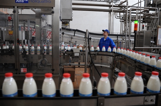 Холдинг "У Палыча" рассматривает возможность приобретения молокозавода