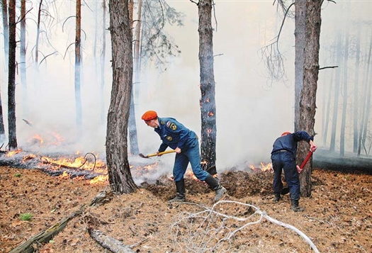 В прошлом году к концу мая произошло уже более 130 лесных пожаров, сейчас их только 16