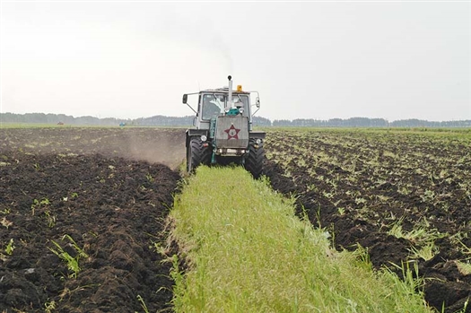Возвращение неиспользуемых сельхозземель в оборот - один из приоритетов самарского АПК