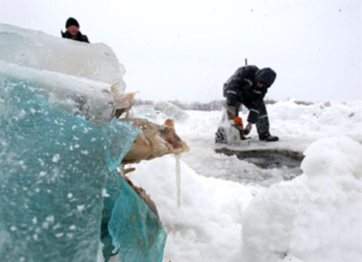 Пропавший на р. Сок 50-летний дайвер Игорь полез под лед, скорее всего, за раками, которые зимуют в том месте реки