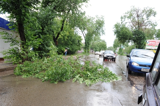 Затяжные дожди уже доставили самарцам массу неудобств, например, на ул. Полевой во время ливня упало дерево