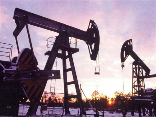 Из Бузулукского бора до 2016 г. уберут все аварийные нефтяные скважины