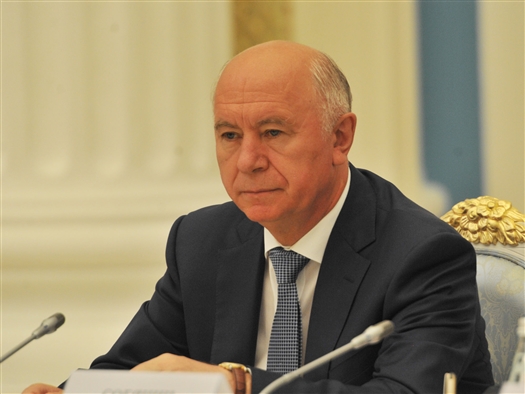 Николай Меркушкин выступил на заседании Совета по развитию физической культуры и спорта при президенте России 