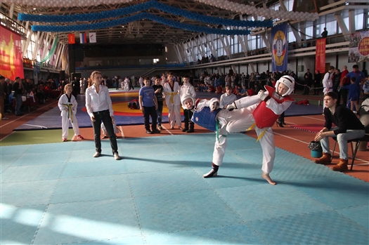 В Самаре прошел юношеский фестиваль единоборств и боевых искусств