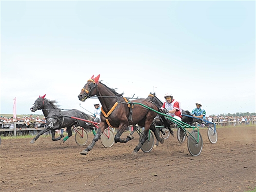 Впервые в самарской губернии на конно-спортивных соревнованиях разыгрывался такой завидный приз