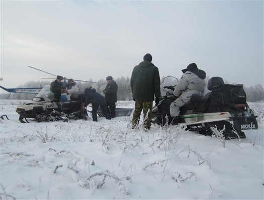 В субботу, 12 января, в результате вертолетного патрулирования северных охотничьих угодий специалисты департамента охоты и рыболовства Самарской области выявили факт незаконного отстрела животных