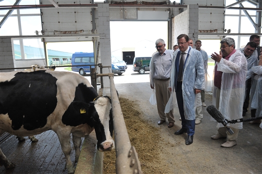 Глава региона посетил молочную ферму в селе Богдановка