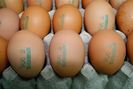 Быстрее остальных в этом году дорожали продовольственные товары - на 13%, в частности, заметно подорожали куриные яйца