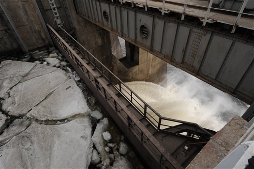 Росрыболовство пытается взыскать ущерб с Жигулевской ГЭС за гибель 40 тыс. голов судака