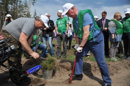 Николай Меркушкин принял участие в восстановлении леса в Красноярском районе
