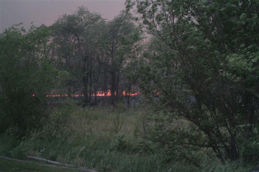 Причиной ЧП на полигоне под Чапаевском мог стать лесной пожар