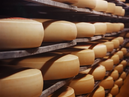 Самарскую фабрику "Миралакта" обвинили в подделывании сыров 