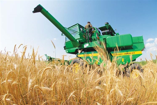 По сравнению с прошлым, засушливым летом, в этом году урожайность зерновых значительно выше