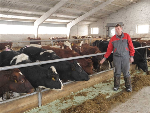 ООО "Зерно жизни" инвестирует в мясное направление КРС до 95 млн руб.