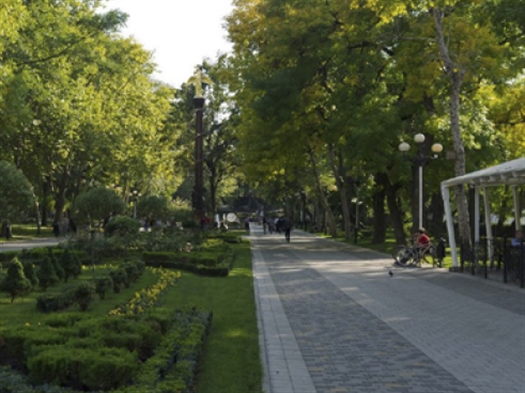 Струковский Парк Фото