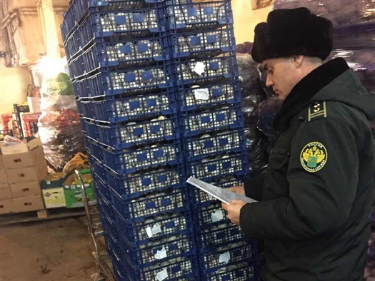 На овощной базе в Самаре таможенники выявили 250 кг санкционных шампиньонов