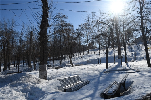 В Самарской области местами потеплеет до +17 °C