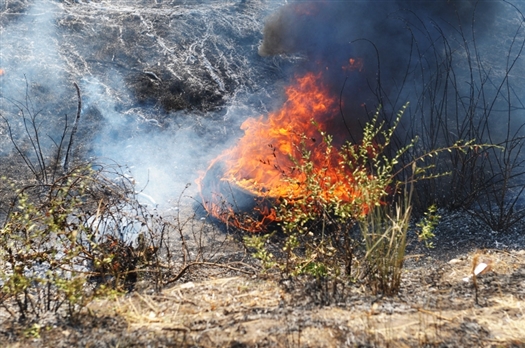 На этой неделе также произошли три серьезных пожара в полях и лесах