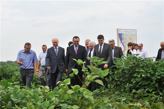 В Приволжском районе появится система низконапорного орошения сельхозугодий