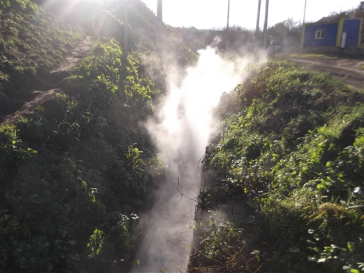 Пруд в Новом Буяне загрязняют местные производители спирта, пряников и парфюмерии