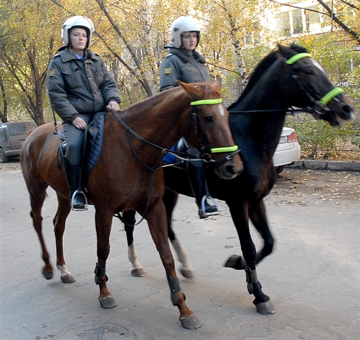 Лидия Котова не получала соответствующего образования для работы в конной милиции