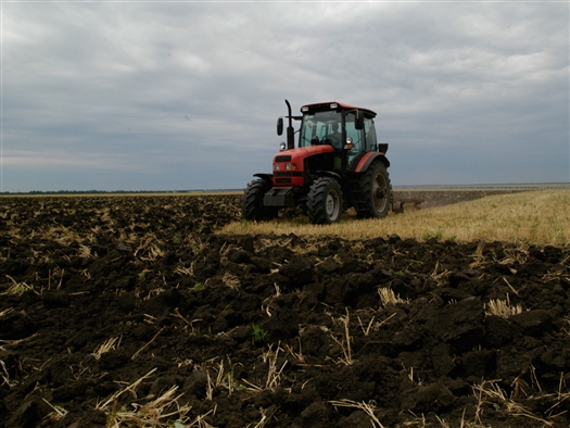 В 2013 г. в оборот планируется ввести около 100 тыс. га неиспользуемых земель сельхозназначения
