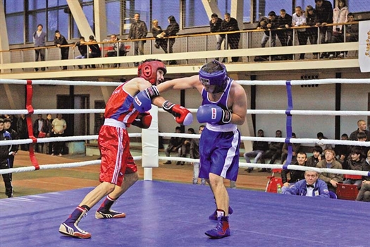 Губернские боксеры набираются опыта перед турниром Шишова