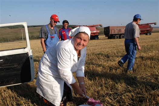 В аграрный сектор Самарской области в 2013 году будет направлено 4,5 млрд рублей