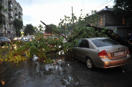 Дерево упало на двигавшийся автомобиль на пересечении ул. Самарской и Полевой