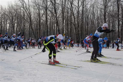 В состязаниях участвовали представители всех городов и районов области, а также лыжники из Бугуруслана, Димитрограда и Петропавловско-Камчатского.