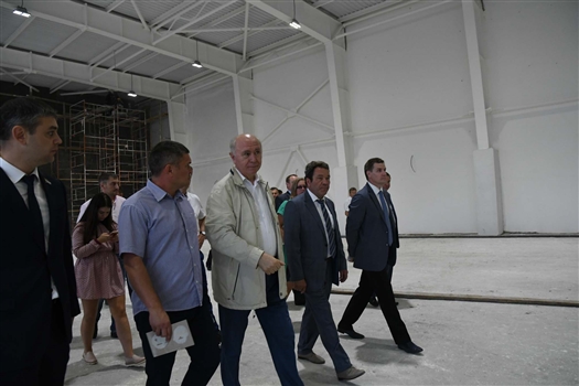 Николай Меркушкин: "Физкультурно-спортивный комплекс в Сызрани будет открыт в декабре этого года"