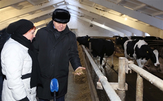Николай Меркушкин посетил молочную ферму в Ставропольском районе