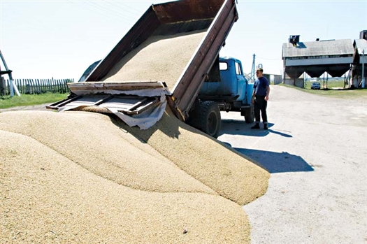 Распределять зерно для аграриев будут без проведения торгов на бирже, чтобы не допустить спекуляции.