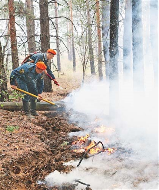 Ущерб, нанесенный национальному парку в результате пожаров, по предварительным данным, оценивается в 1 млн рублей.