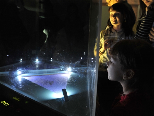 В музее "Самара космическая" 22 марта стартовал Фестиваль популярной науки, включающий лекции и открытые уроки для школьников, а также выставку научно-популярных интерактивных экспонатов "Научный музей в XXI веке"