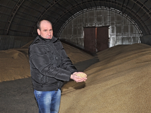К яровому севу в Самарской области подготовлено 99% семян 