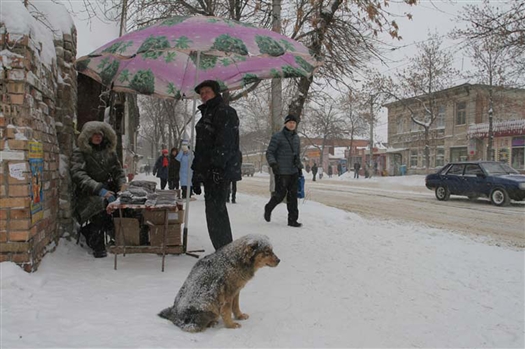 В Самарской области на этой неделе будет снежно