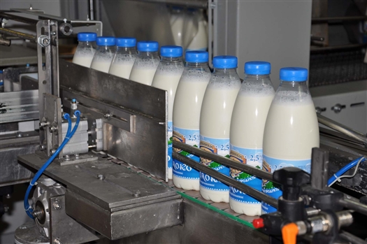 За 6 месяцев 2015 года предприятие стало закупать на 20% молока больше 