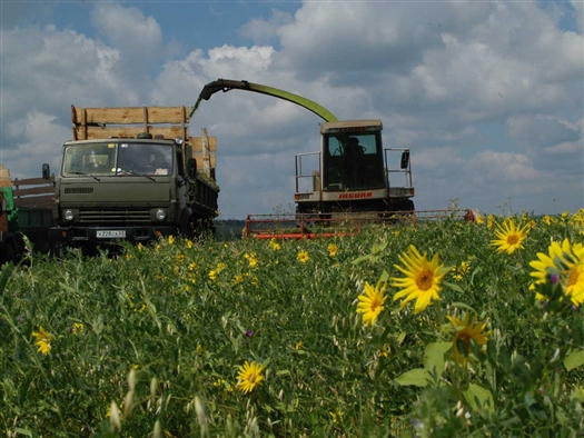 Министерство сельского хозяйства и продовольствия Самарской области подготовило и направило на согласование проект соглашения о сотрудничестве между региональным правительством и ООО "Группа компаний "Русагро"