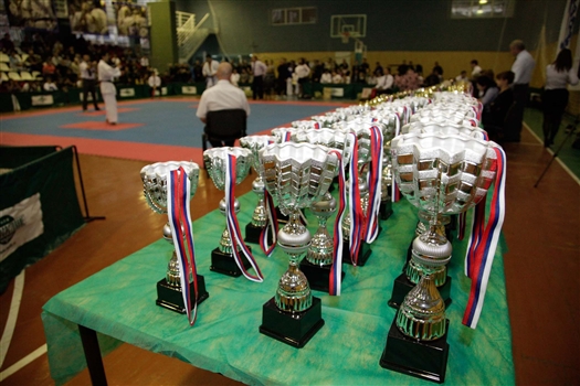 В Самаре прошел один из самых представительных турниров в областном карате 