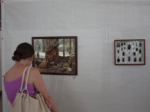 В среду, 10 июля, в самарском музее им. Алабина открылась выставка "Картины из крыльев бабочек"