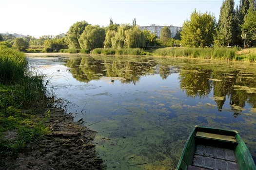 Неудавшаяся комплексная застройка парка "Воронежские озера" встала МП "Парки Самары" в 25 млн руб.