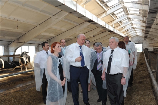 Губернатор посетил молочную ферму в Ставропольском районе